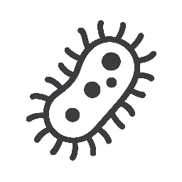 Antimicrobial Resistance Conference| Zimbabwe| 2025